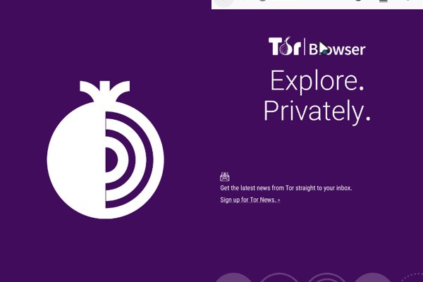 Что такое kraken 2krn cc