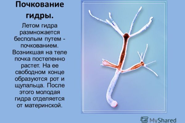 Кракен шоп даркнет