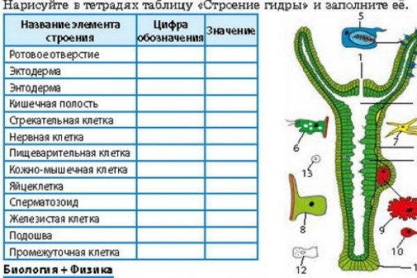 Кракен гидра даркнет